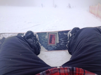 in the fog 